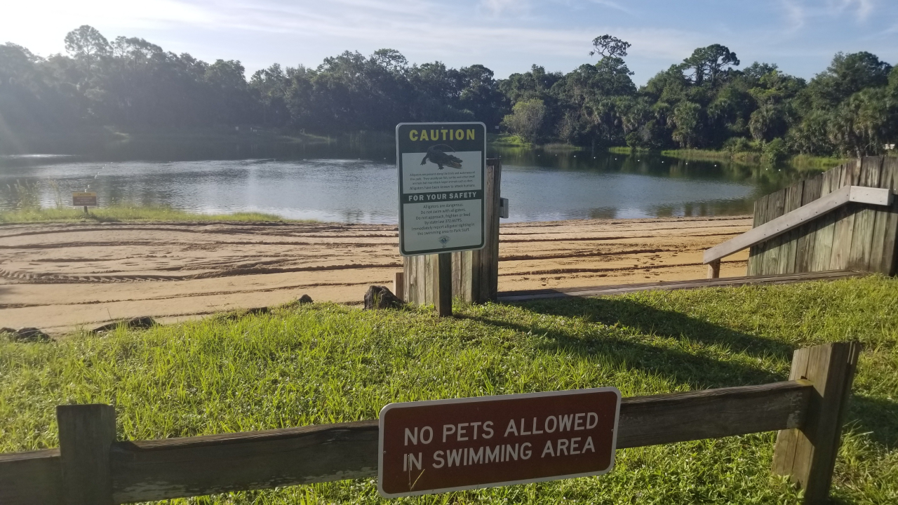 Camper submitted image from Oscar Scherer State Park Campground - 4