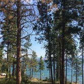 Review photo of Big Arm State Unit — Flathead Lake State Park by Bjorn S., August 31, 2020