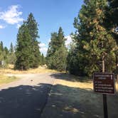 Review photo of Big Arm State Unit — Flathead Lake State Park by Bjorn S., August 31, 2020