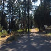 Review photo of Big Arm State Unit — Flathead Lake State Park by Bjorn S., August 31, 2020