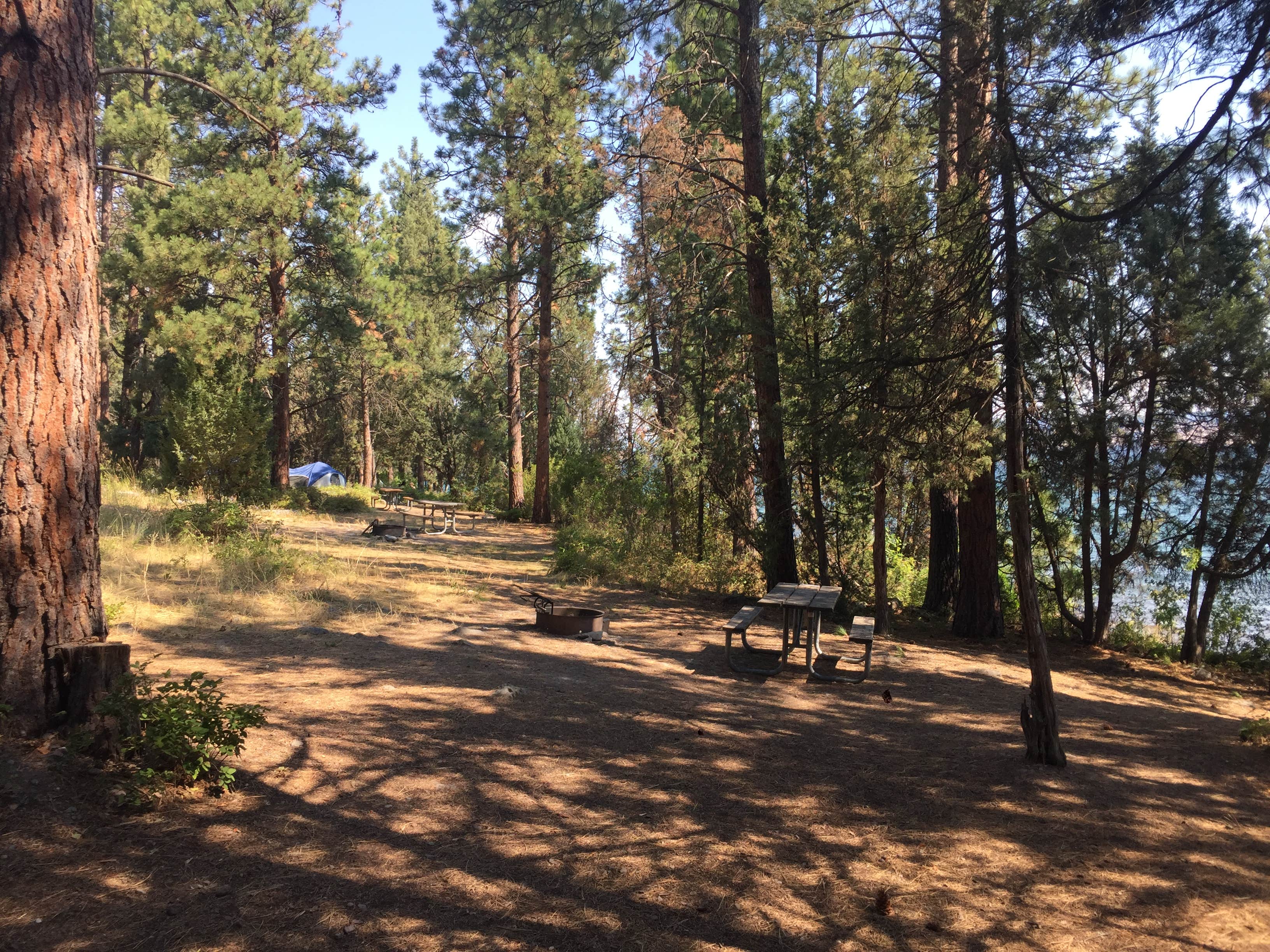 Bjorn S.'s photo at Big Arm State Unit — Flathead Lake State Park near Polson, MT
