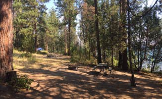 Bjorn S.'s photo at Big Arm State Unit — Flathead Lake State Park near Polson, MT