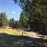 Review photo of Big Arm State Unit — Flathead Lake State Park by Bjorn S., August 31, 2020