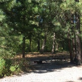 Review photo of Beavertail Hill State Park Campground by Bjorn S., August 31, 2020