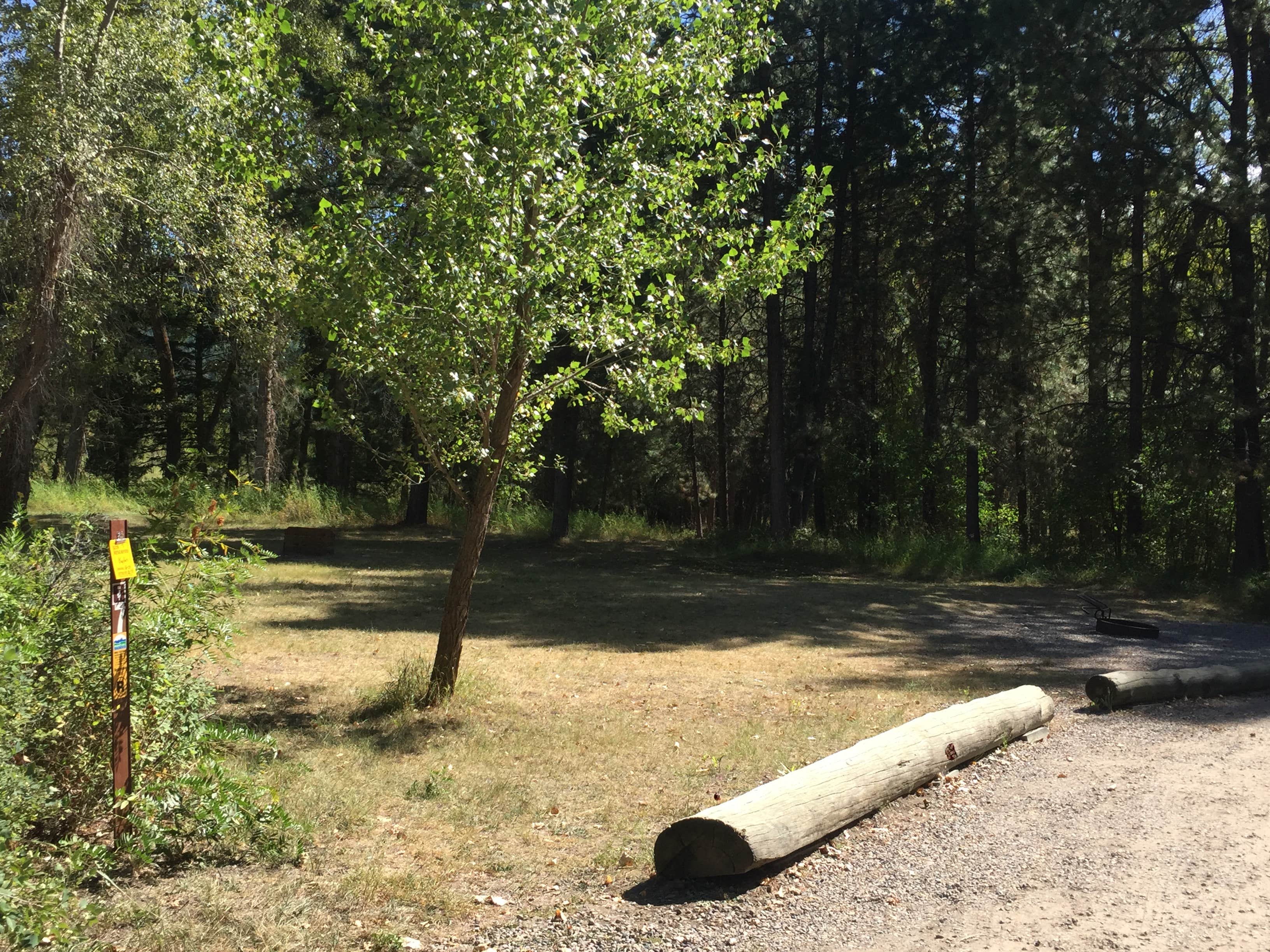 Camper submitted image from Beavertail Hill State Park Campground - 1