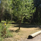 Review photo of Beavertail Hill State Park Campground by Bjorn S., August 31, 2020