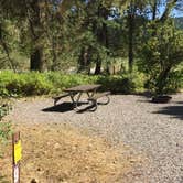 Review photo of Beavertail Hill State Park Campground by Bjorn S., August 31, 2020