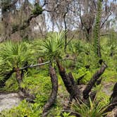 Review photo of Lake Manatee State Park Campground by Dale G., August 31, 2020