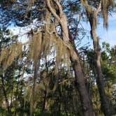 Review photo of Lake Manatee State Park Campground by Dale G., August 31, 2020