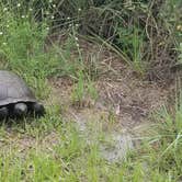 Review photo of Lake Manatee State Park Campground by Dale G., August 31, 2020