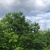 Review photo of Cold Springs Camp Resort by Sara D., August 24, 2020