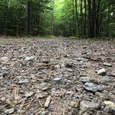 Review photo of Cold Springs Camp Resort by Sara D., August 24, 2020