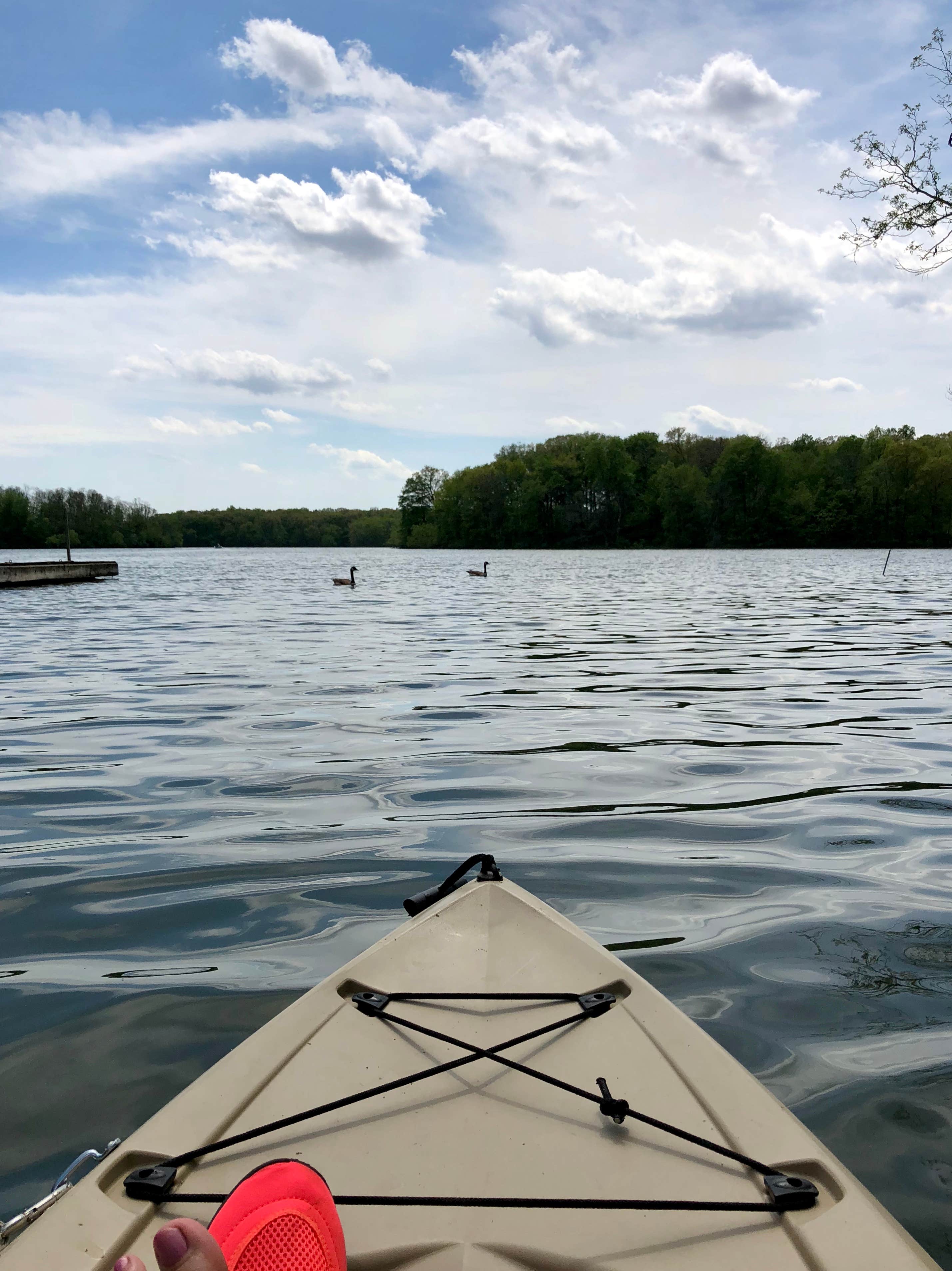 Camper submitted image from Moraine View State Recreational Area - 4