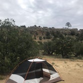Review photo of Joe Skeen Campground - El Malpais NCA by Taylor , August 31, 2020
