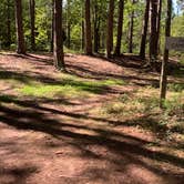 Review photo of Dalrymple Park and Campground by Stephanie J., August 31, 2020