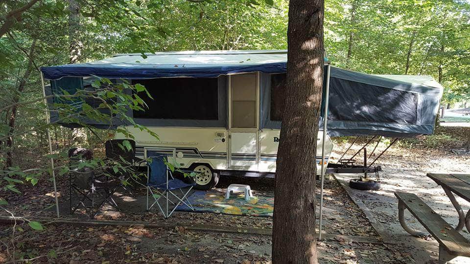 Camper submitted image from Chippokes State Park Campground - 5