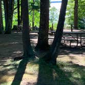 Review photo of Dalrymple Park and Campground by Stephanie J., August 31, 2020