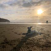 Review photo of Cape Lookout State Park Campground by Sarah W., August 31, 2020