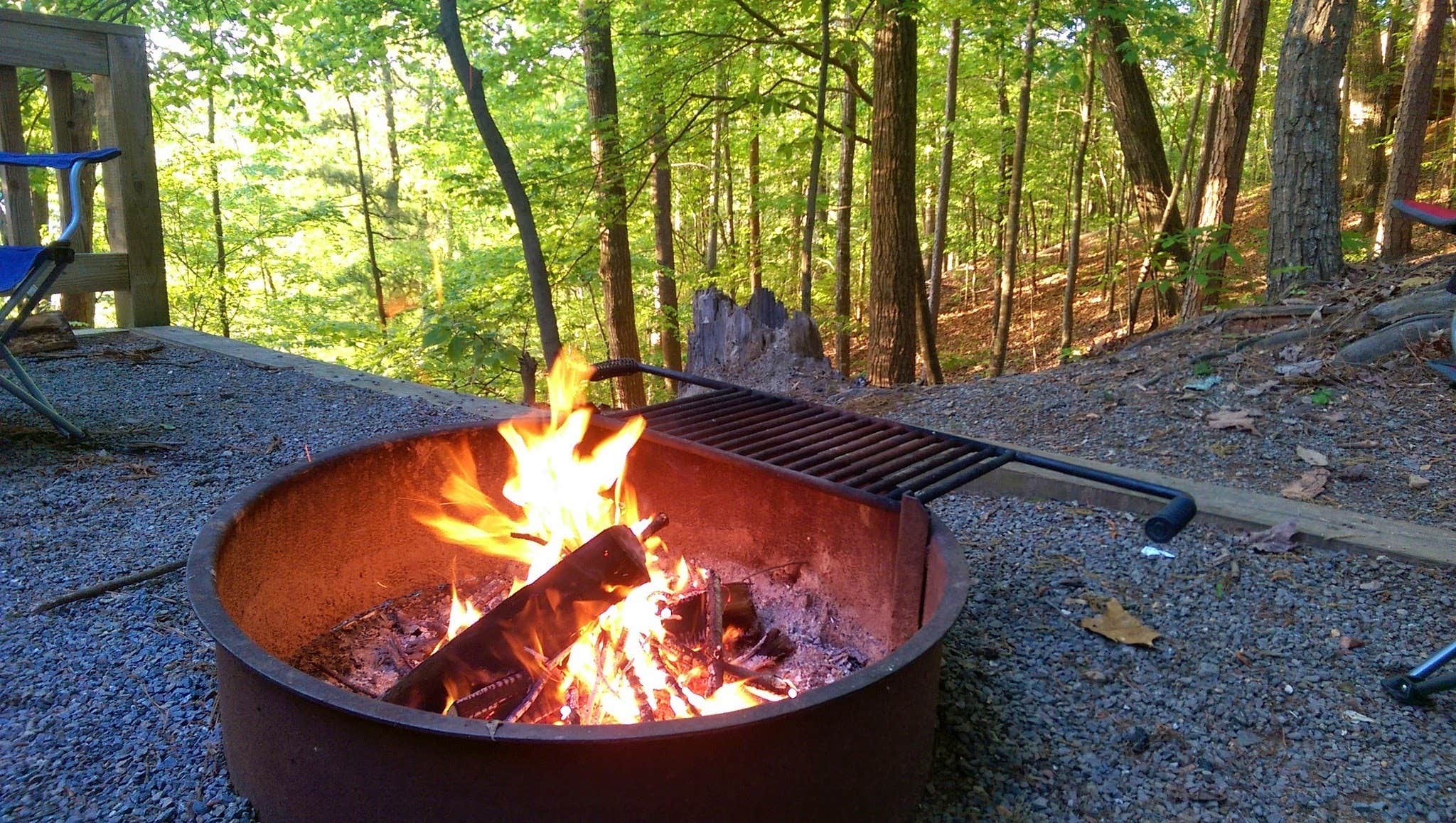 Doll Mountain Camping Carters Lake, GA