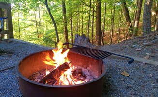 Jason I.'s photo at Doll Mountain near Carters Lake