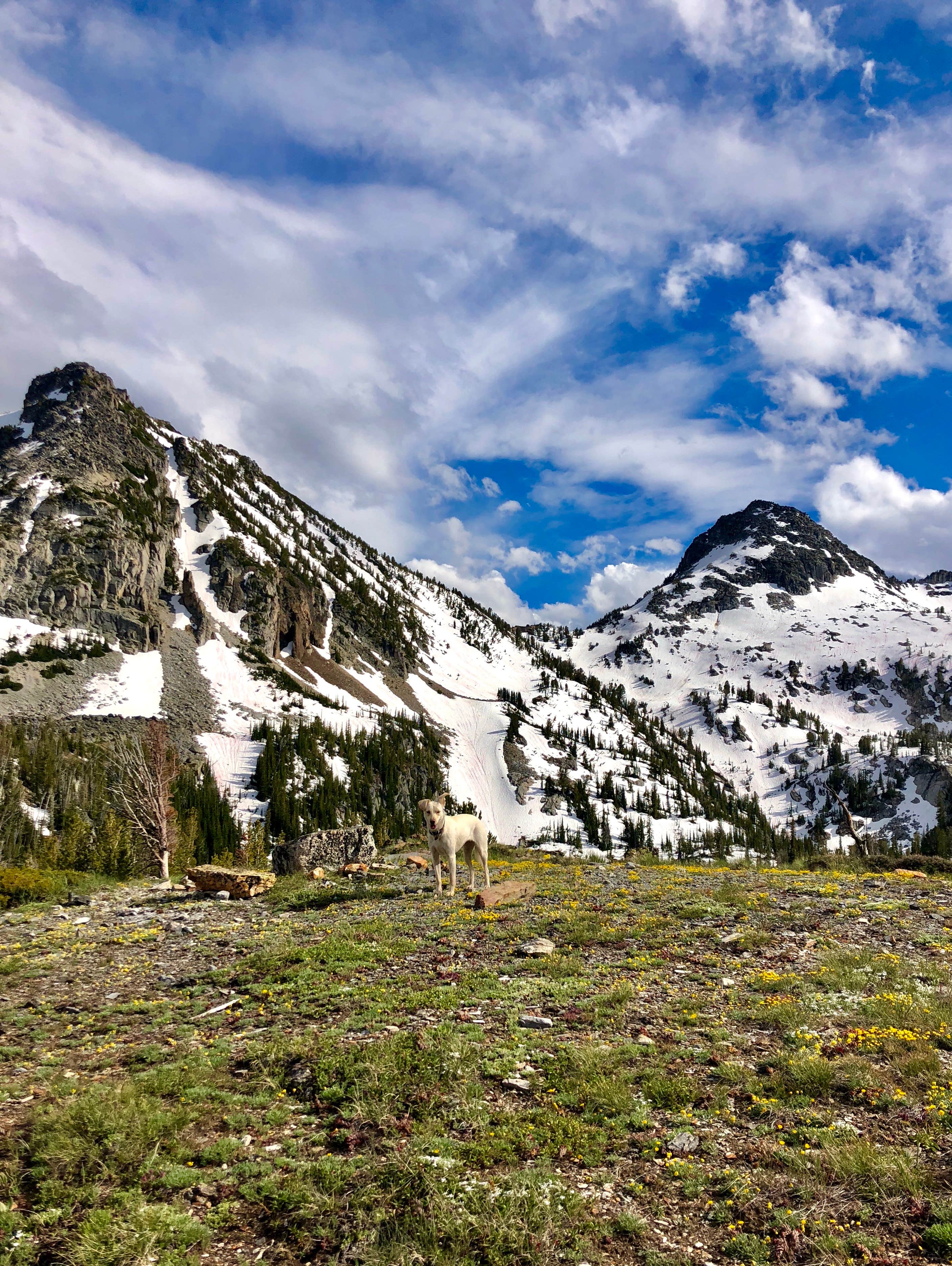 Camper-submitted photo at Ice Lake near Elgin, OR