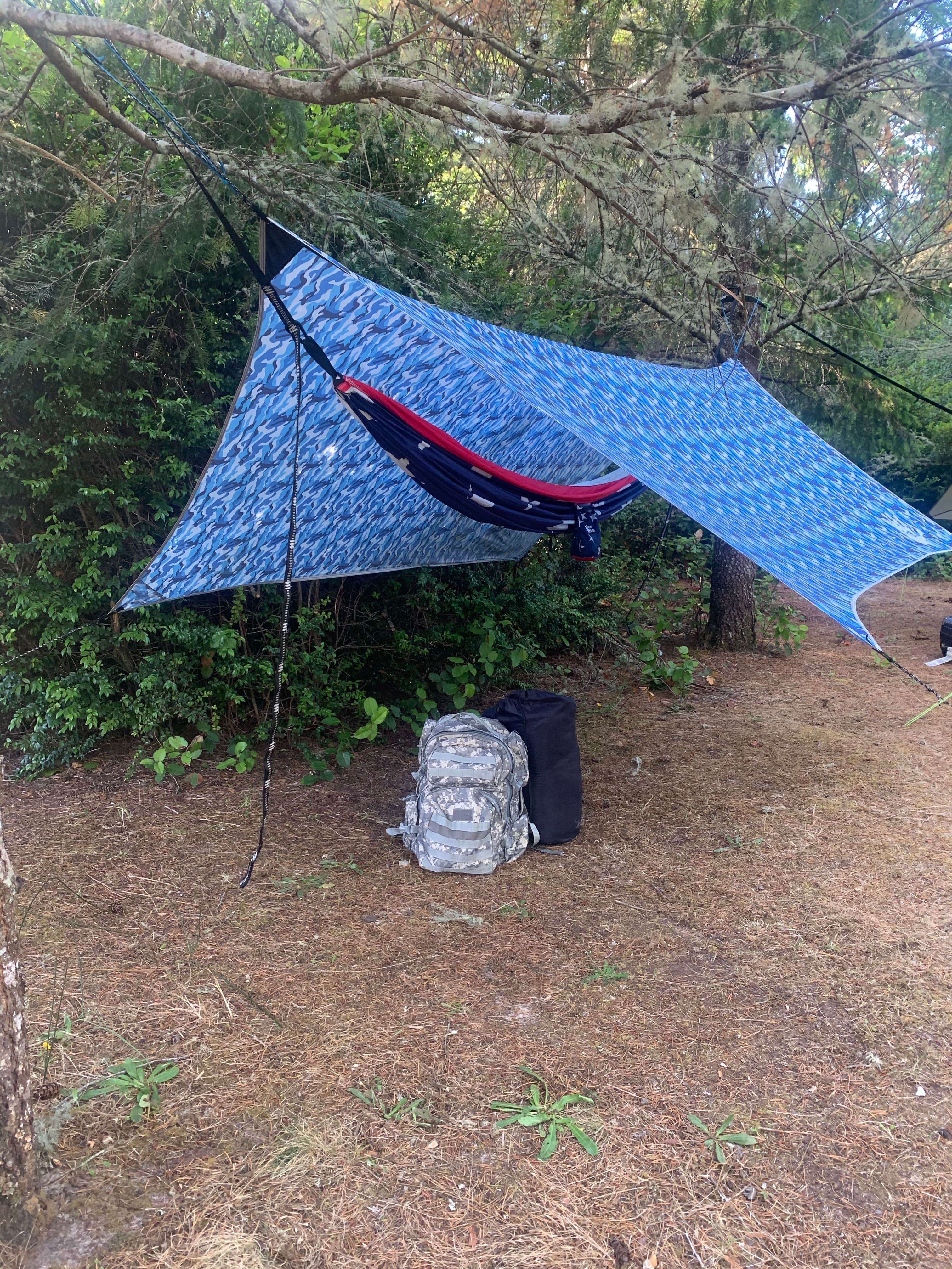 Camper submitted image from Lagoon Campground - 4