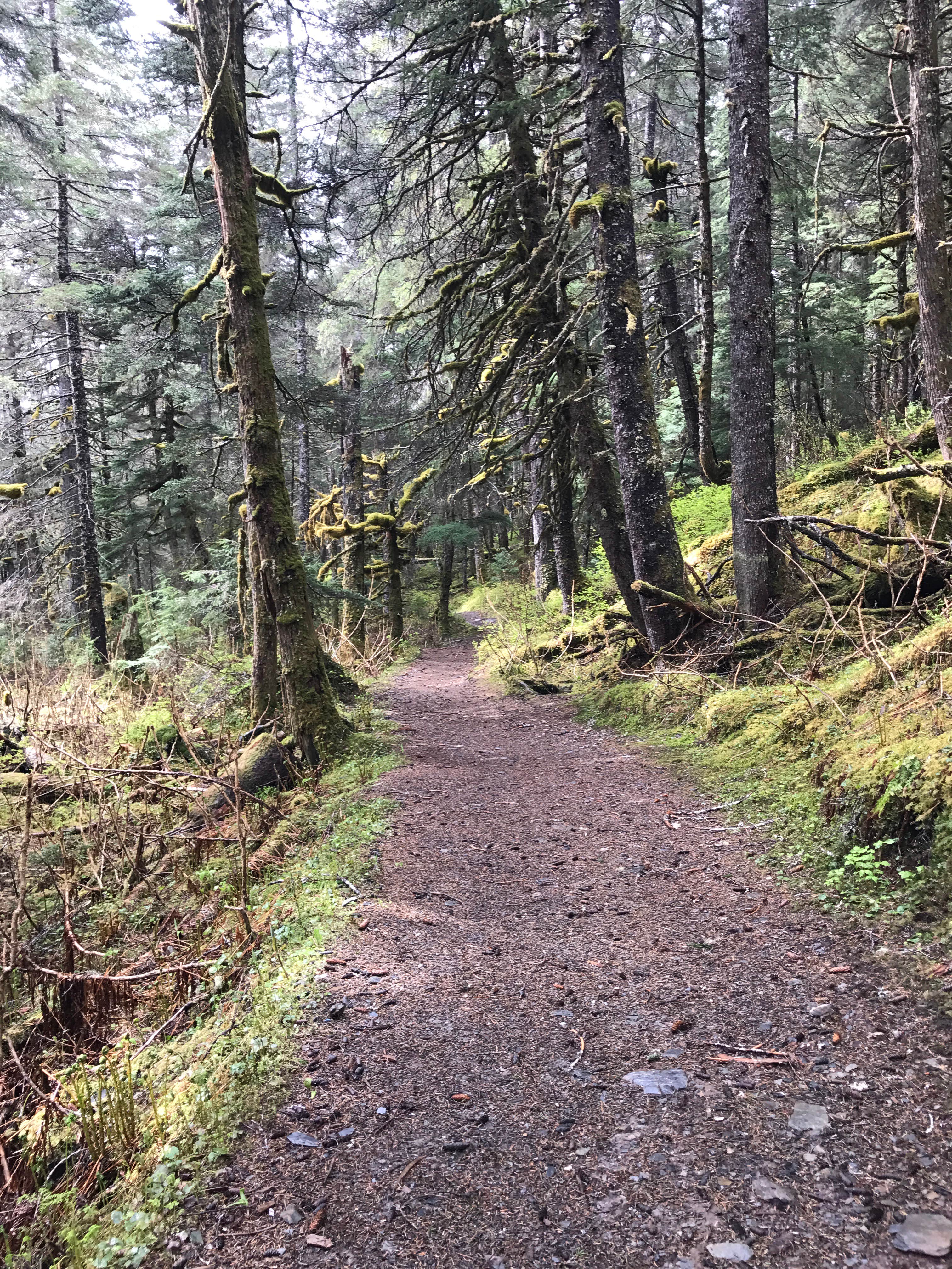 Camper submitted image from Dale Clemens Cabin - 3