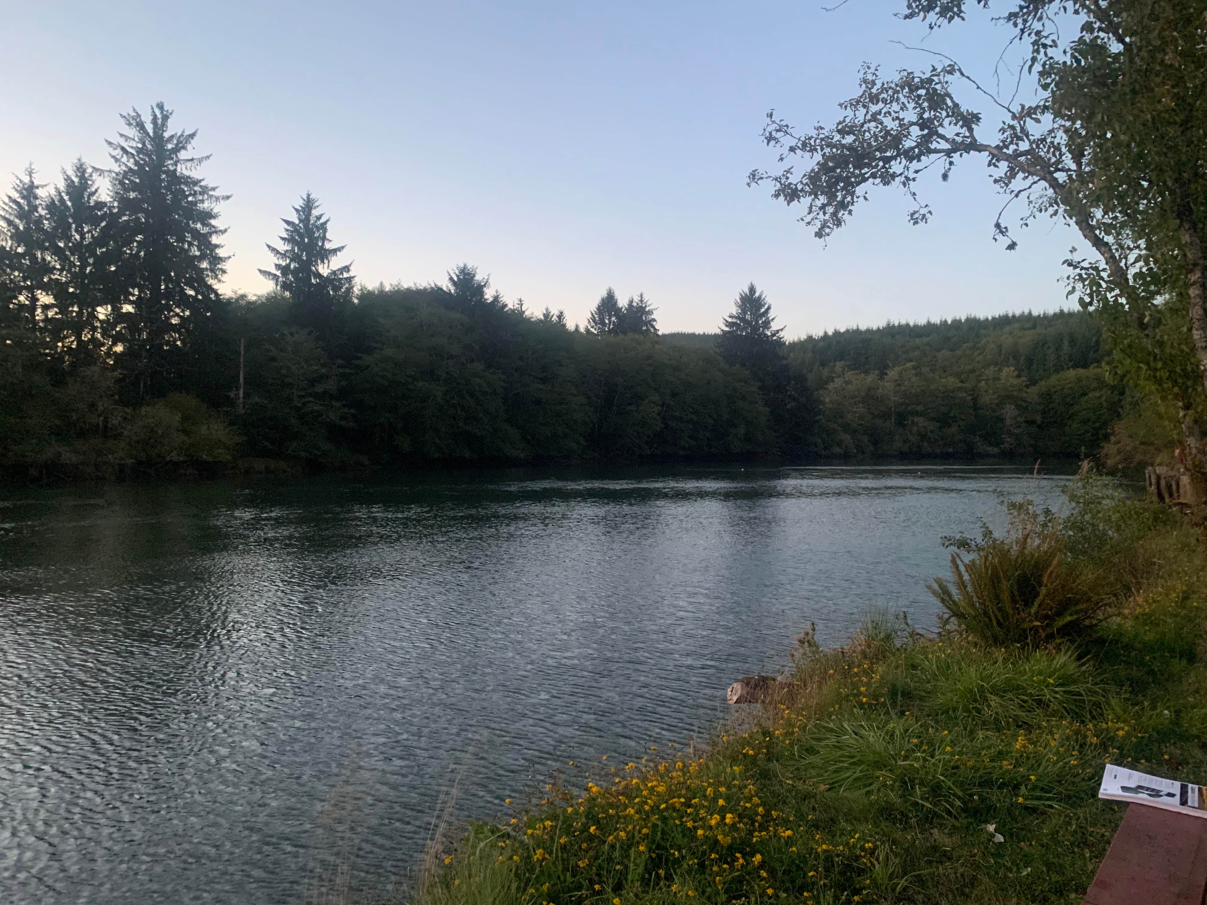 Camper submitted image from Hoquiam River RV Park - 3