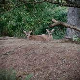 Review photo of Hoquiam River RV Park by Timothy , August 31, 2020