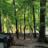 Review photo of Lake Lanier Islands Resort Shoal Creek Campground by Tiffany B., August 31, 2020
