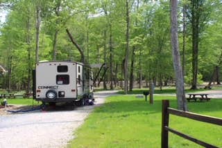 Camper submitted image from Old Mill Camp and General Store - 2