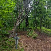 Review photo of Gull Point Campsite on Grand Island by Emily , August 31, 2020