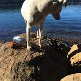 Review photo of Meditation Point Campground by Sarah W., August 31, 2020