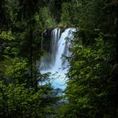 Review photo of McKenzie River Area by Sarah W., August 31, 2020