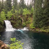 Review photo of McKenzie River Area by Sarah W., August 31, 2020