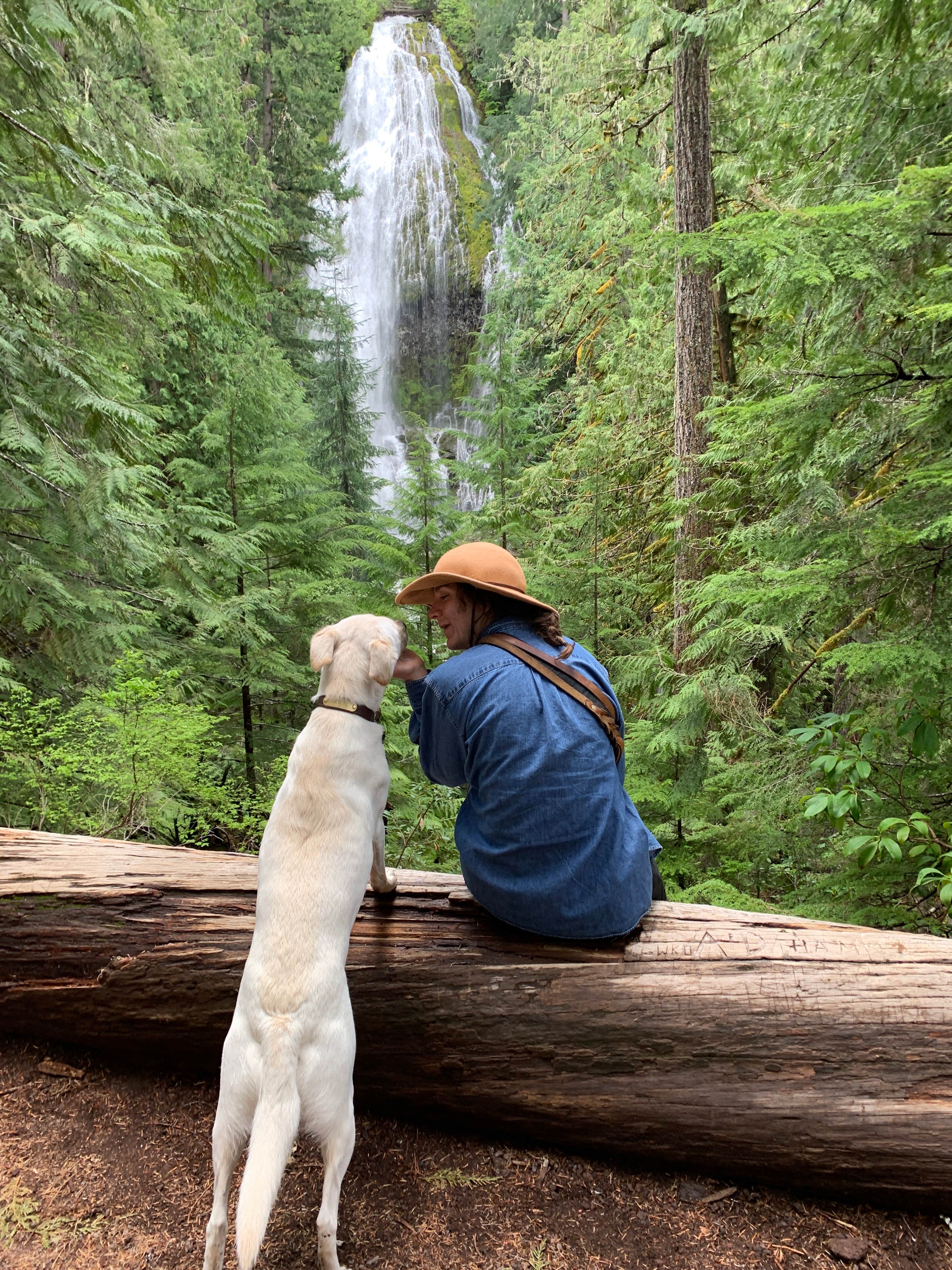 Camper submitted image from McKenzie River Area - 1