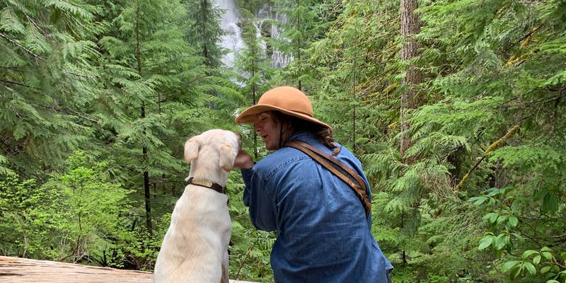 Camper submitted image from McKenzie River Area