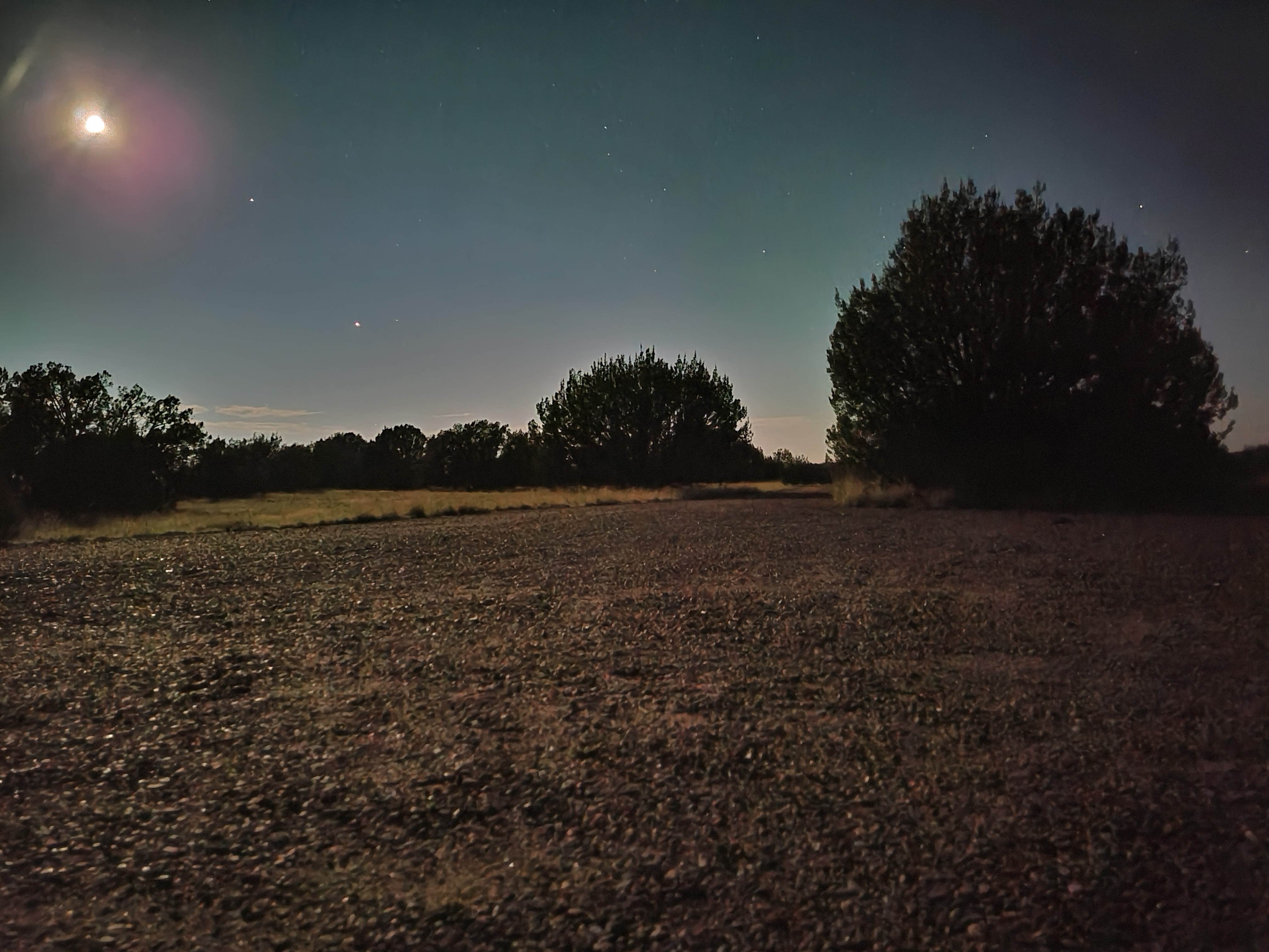 Camper submitted image from Comanche National Grassland Withers Canyon Trailhead Campground - 3