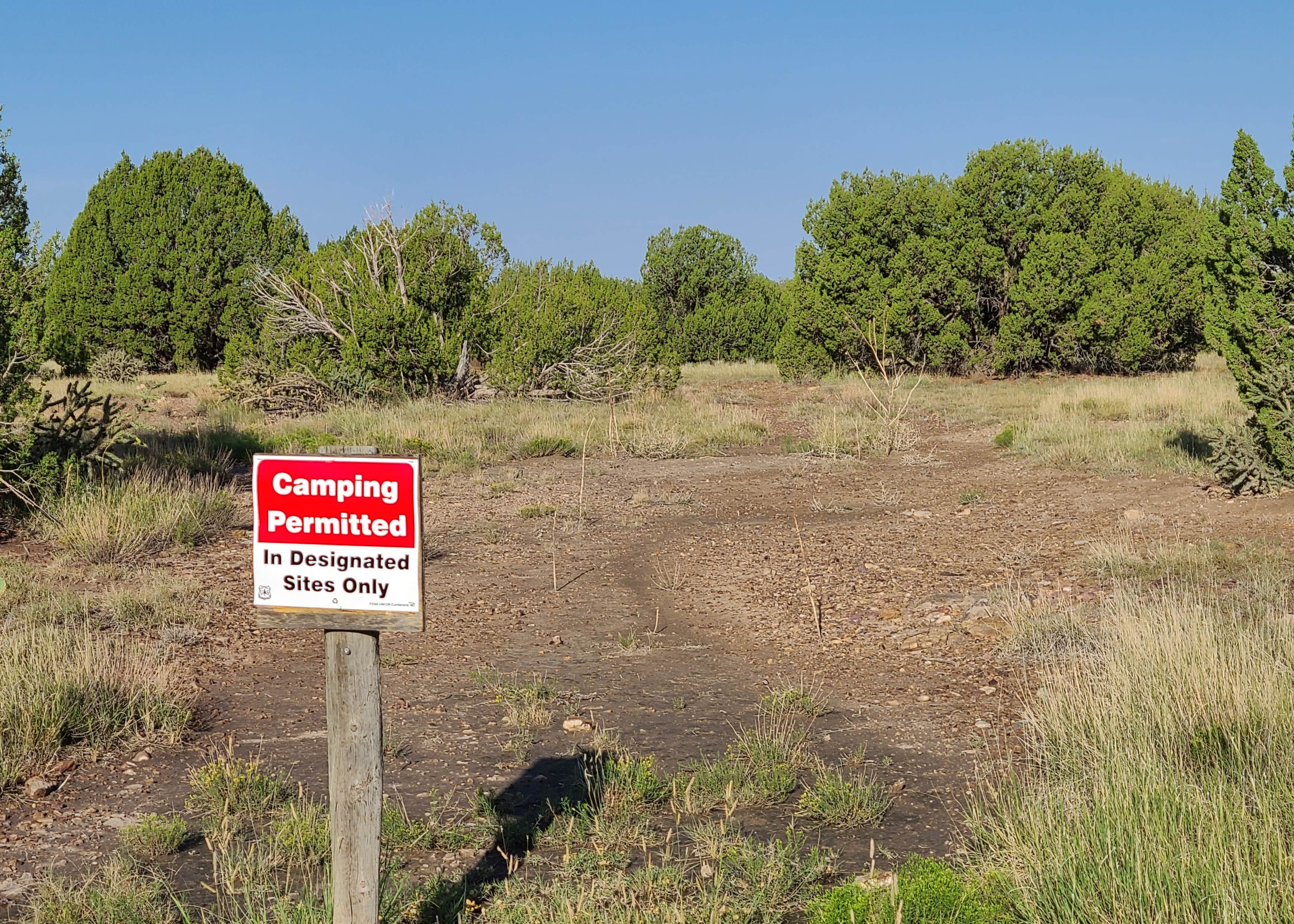 Comanche National Grassland Withers Canyon Trailhead Campground Camping