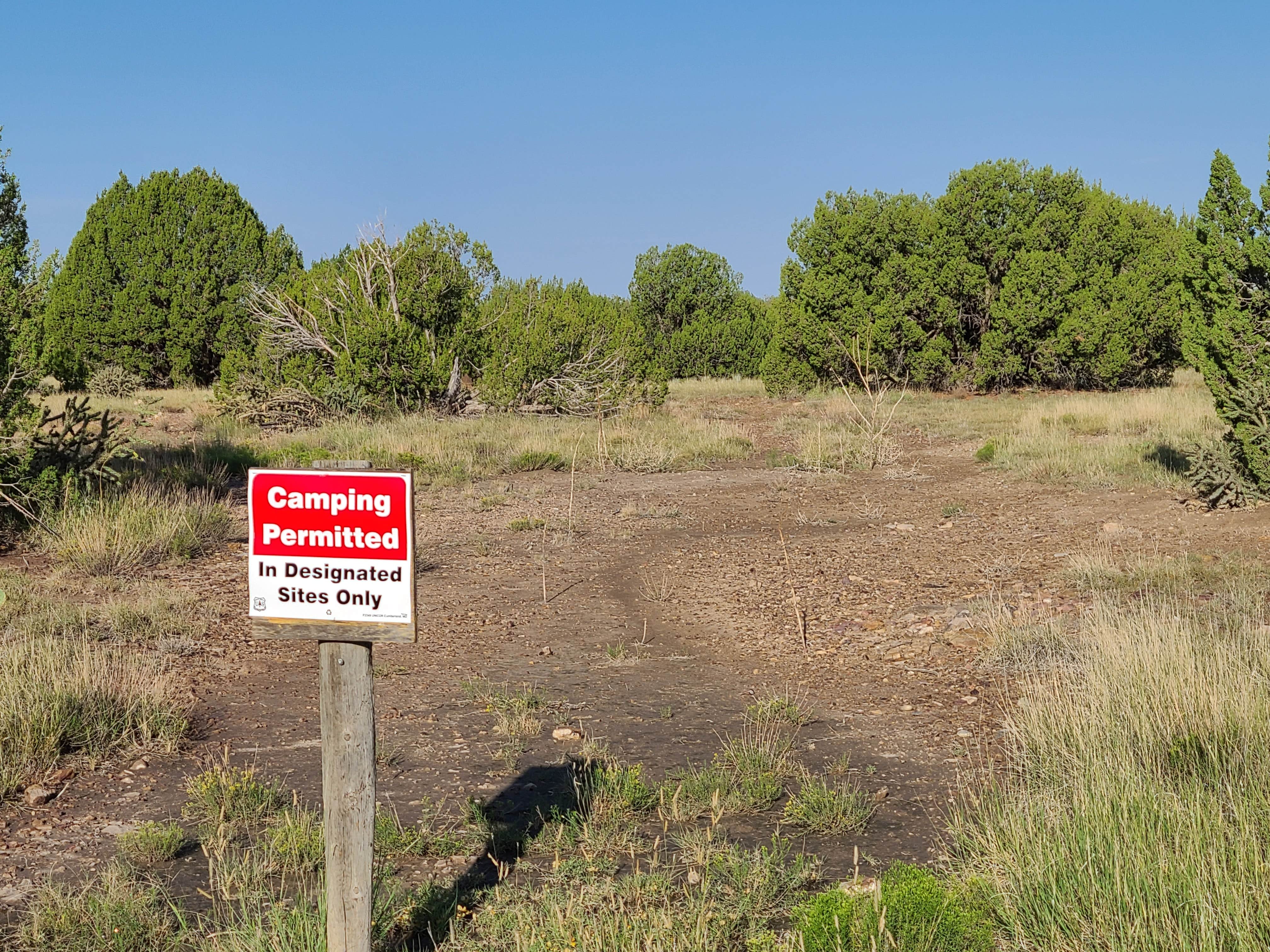 Camper submitted image from Comanche National Grassland Withers Canyon Trailhead Campground - 1