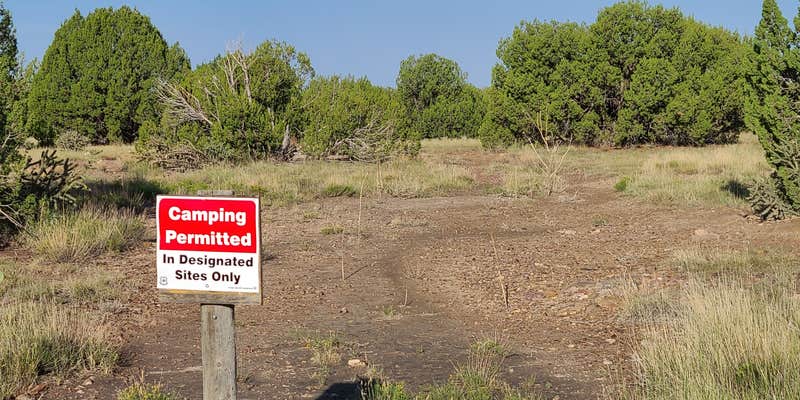 Camper submitted image from Comanche National Grassland Withers Canyon Trailhead Campground