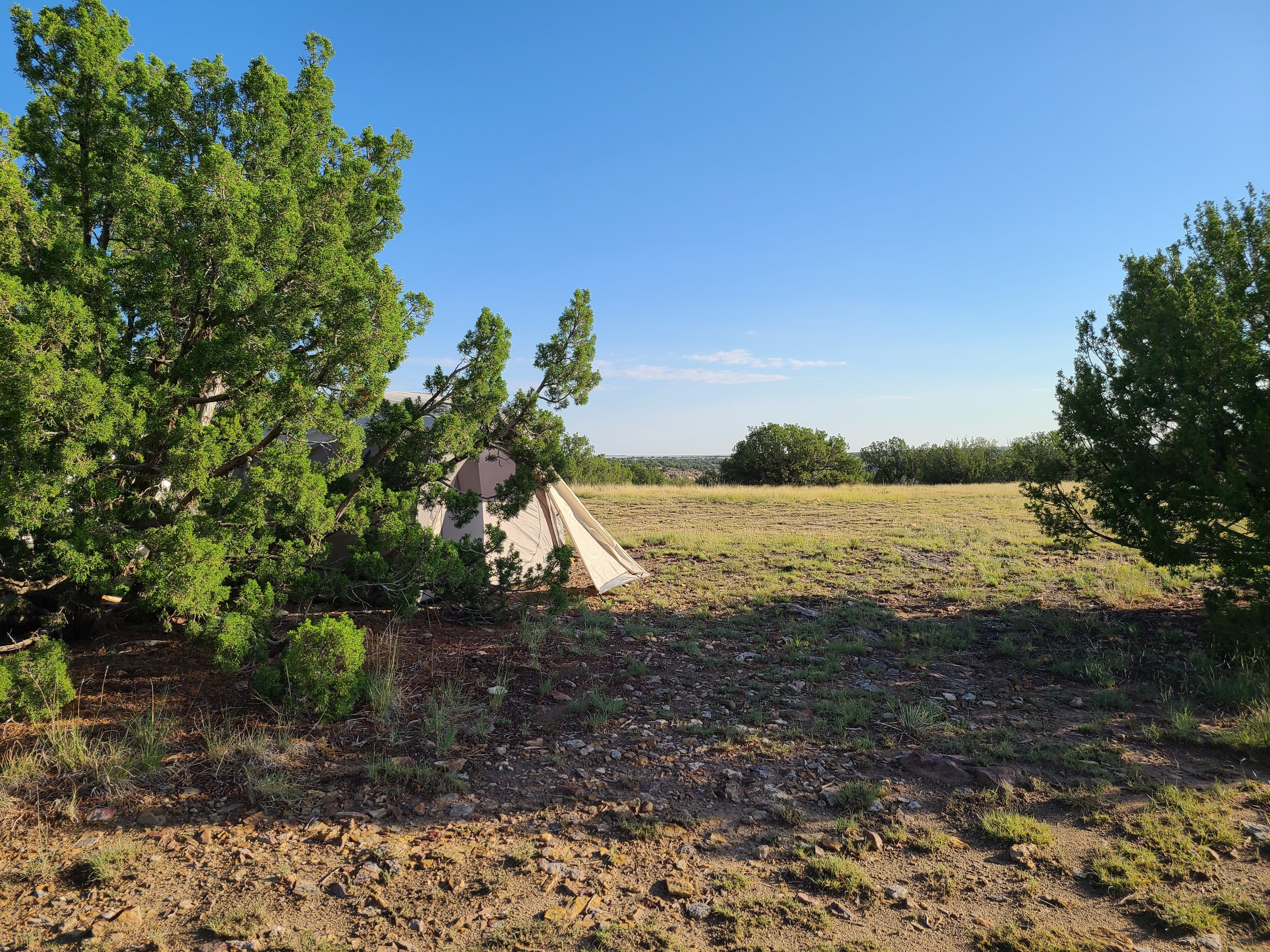 Camper submitted image from Comanche National Grassland Withers Canyon Trailhead Campground - 5