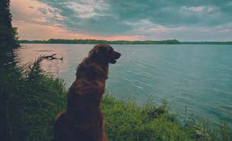Victor H.'s photo of camping with pets at Poole Knobs near Gallatin, TN
