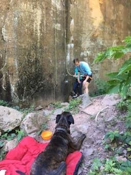 Janet R.'s photo of camping with pets at Robinson Park Camping near Saint Croix National Scenic River