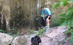 Janet R.'s photo of camping with pets at Robinson Park Camping near St. Croix National Scenic Riverway