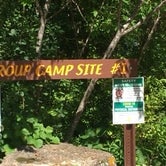 Review photo of Robinson Park Camping by Janet R., August 31, 2020