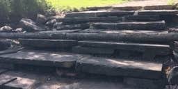 Camper submitted image from Robinson Park Camping