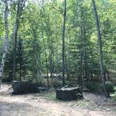 Review photo of Robinson Park Camping by Janet R., August 31, 2020