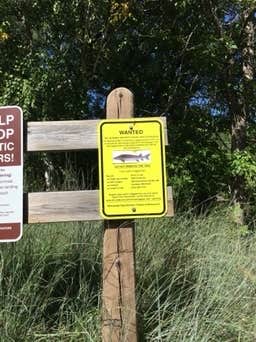 Camper-submitted photo at Robinson Park Camping near Brook Park, MN