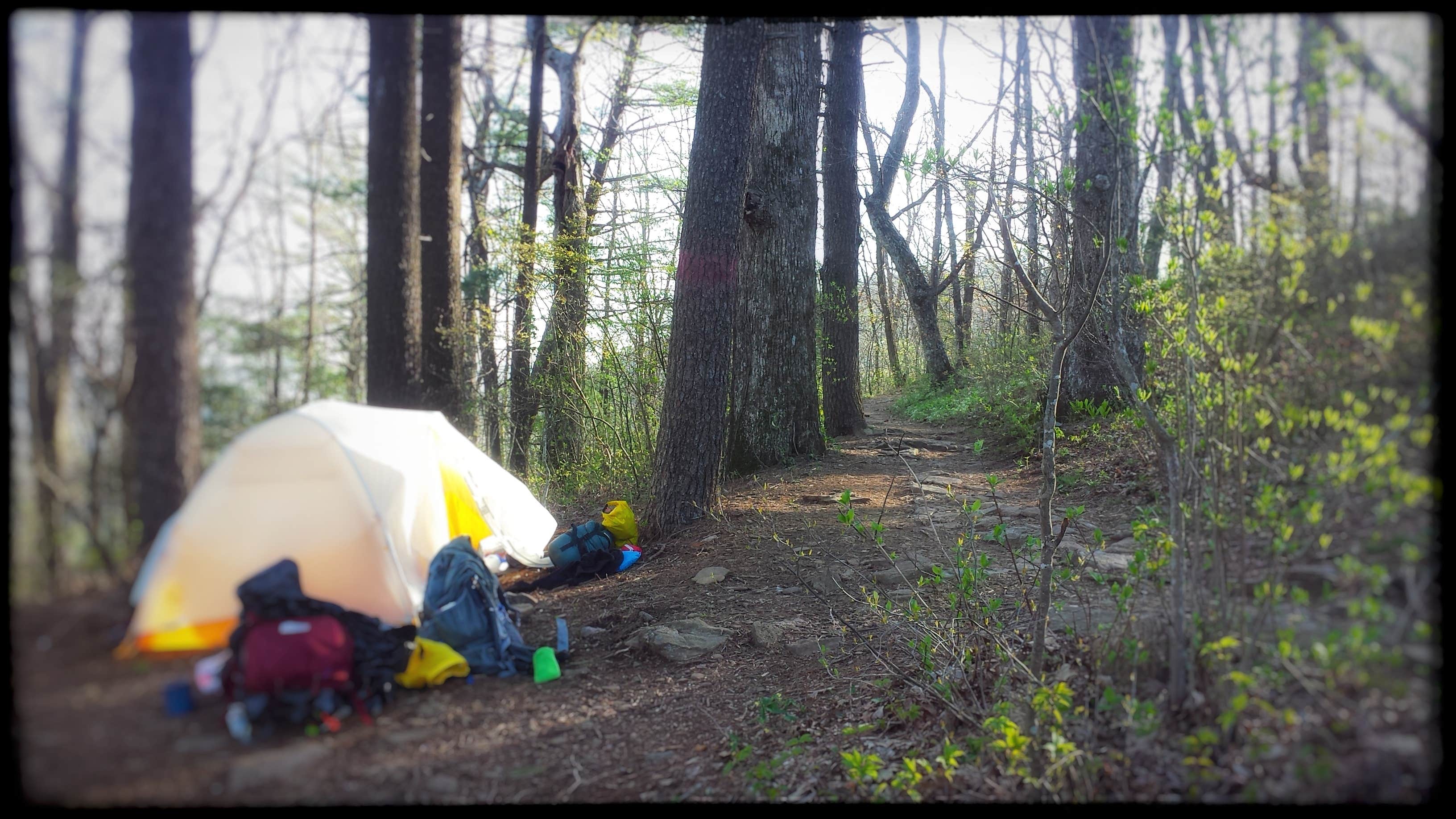 Amy G.'s photo of tent camping at Mountain Crossings - Neel Gap m- AT Camp and Store near Sautee Nacoochee, GA